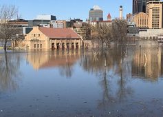 Flood waters at Harriet Island Regional Park 