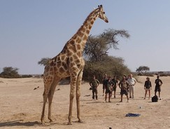  Como's Conservation Champions with giraffe in Africa. 