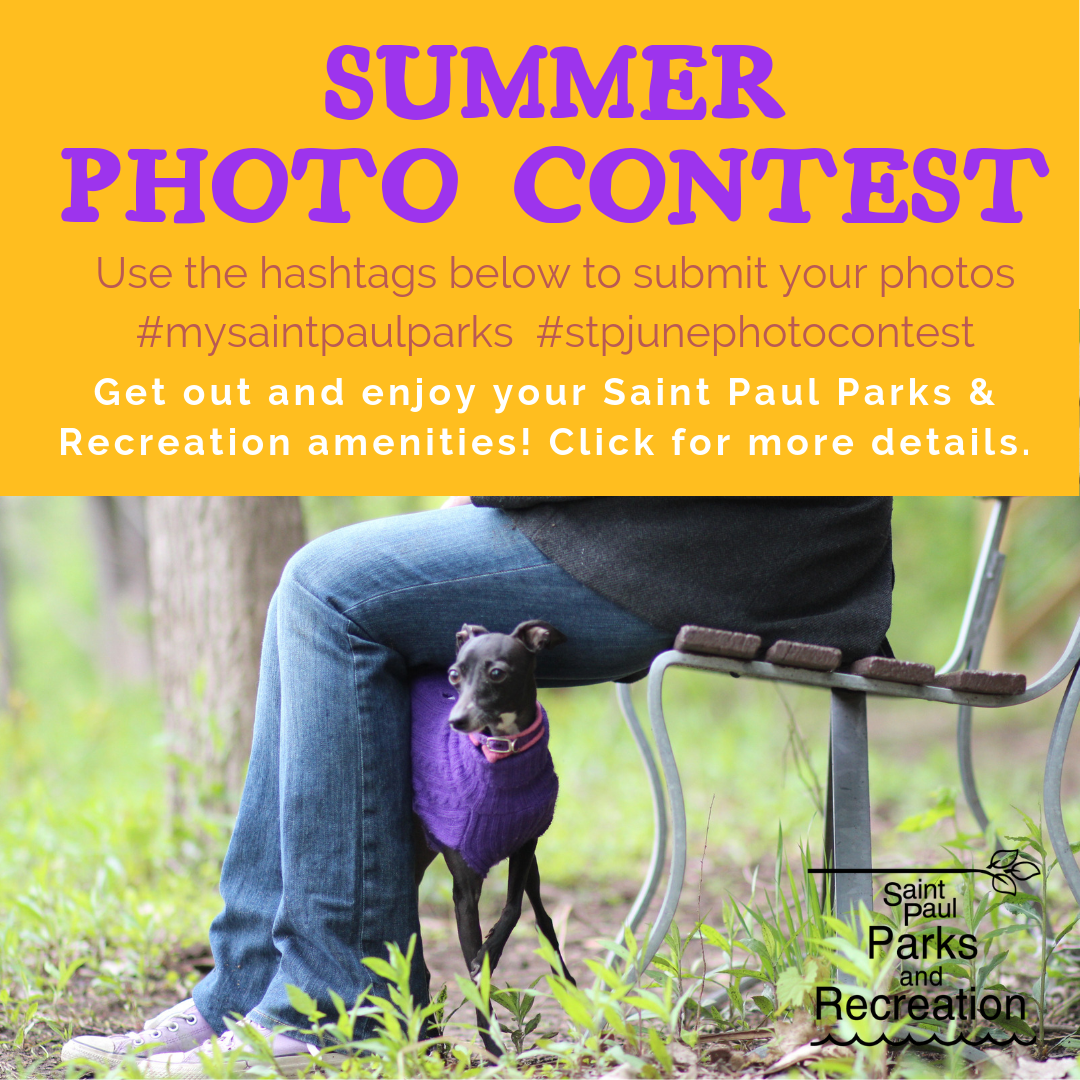 Summer Photo Contest