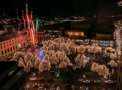 Rice Park Tree Lighting