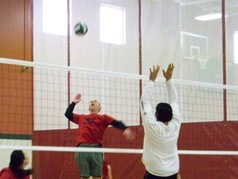 Adult volleyball players 
