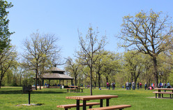 Como Regional Park Picnic Shelter