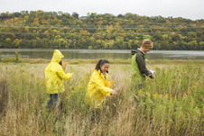 Natural Resources Seed Squad volunteers collecting seeds in a prairie along the Mississippi River