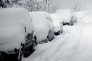 cars covered in snow