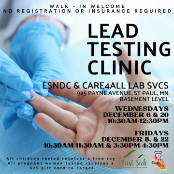 Lead Testing Clinic