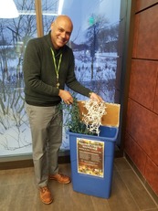 Person recycling holiday lights at Saint Paul Public Library drop off bin