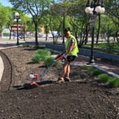 Parks and Rec staff tiling landscape 