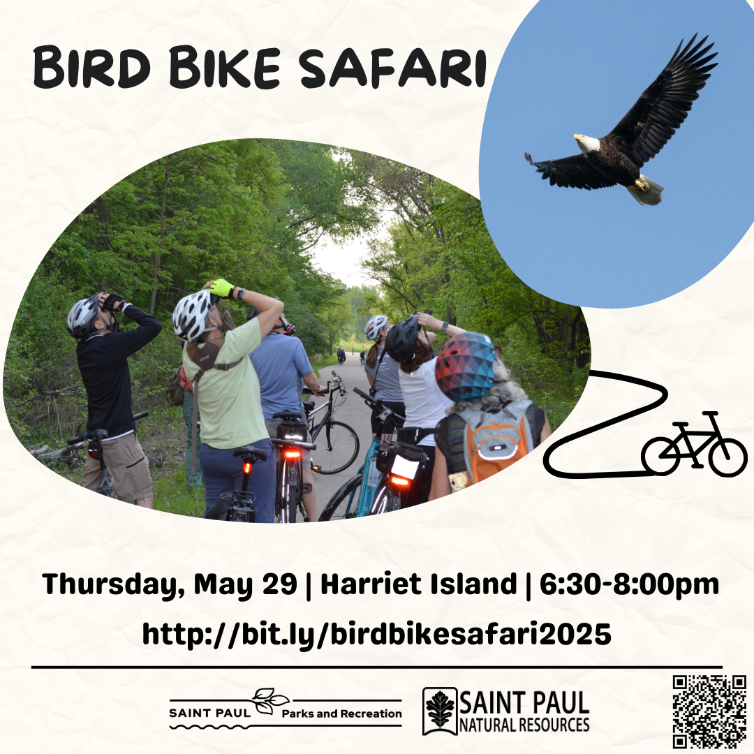 Bird Bike flyer