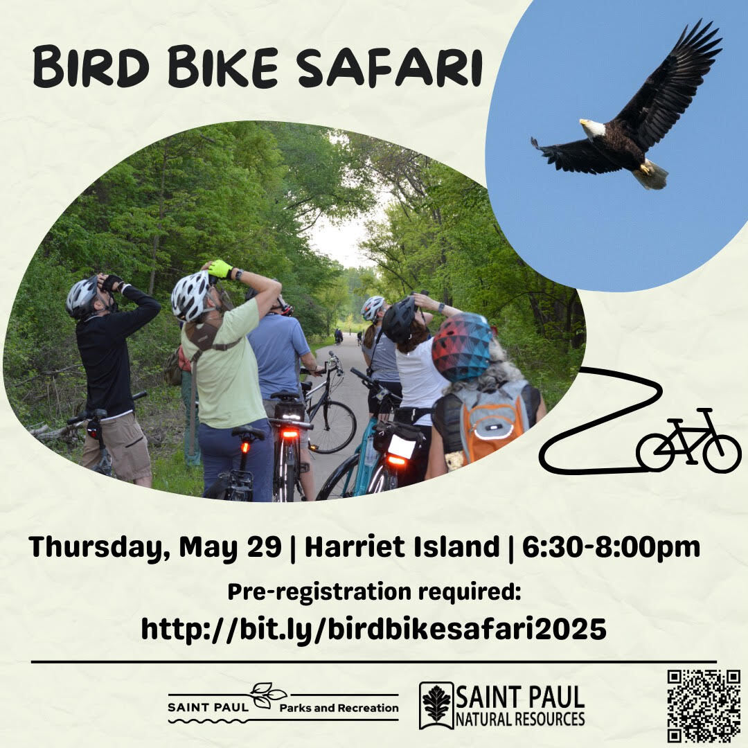 Bird Bike Safari