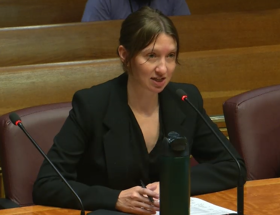 CM Coleman speaking about ORD 26-31