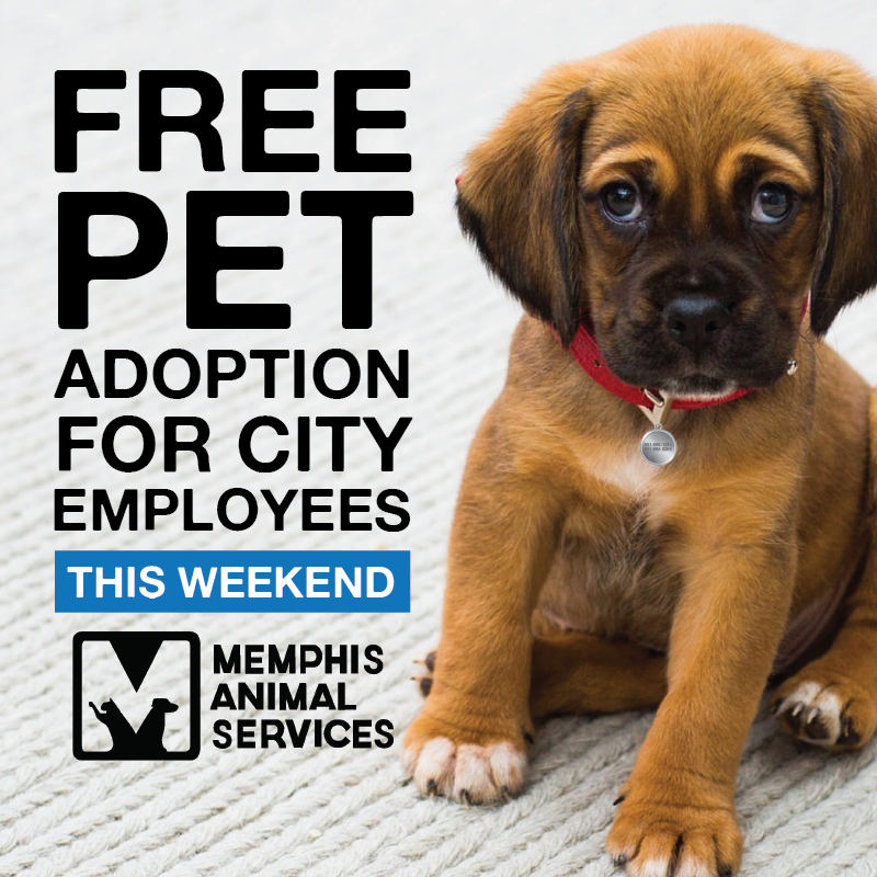 FREE PET ADOPTION for City Employees THIS WEEKEND ONLY