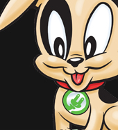 Socket, Unplug Nashville