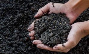 hands holding compost