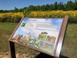 Shelby Park trail signage