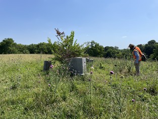 cemetery field work