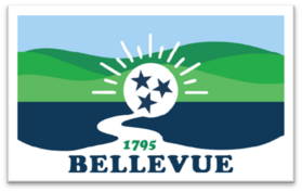 Bellevue flag