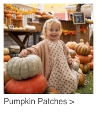 Pumpkin Patches