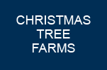 Christmas Tree Farms