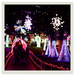 Rhema Christmas Lights