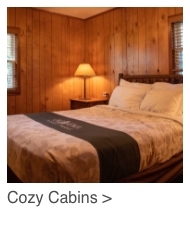 Cozy Cabins
