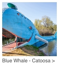 Blue Whale