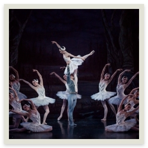 swan lake
