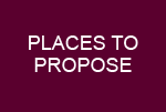 PROPOSE