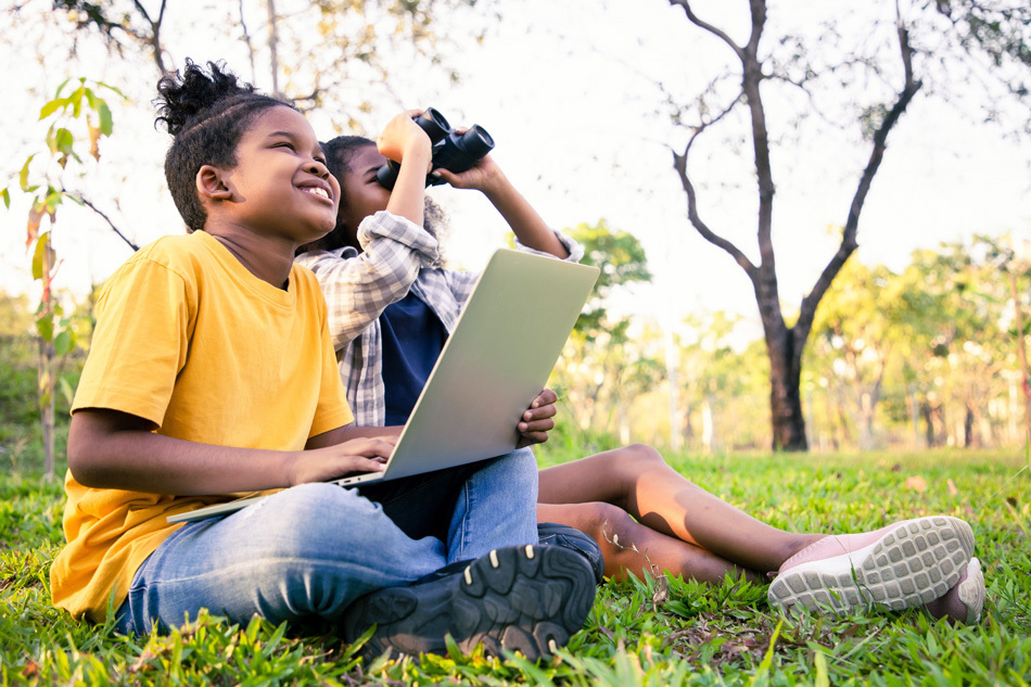 Animal Essay Contest