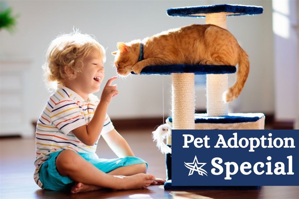 Pet Adoption Special