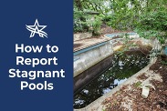 How to report a stagnant swimming pool