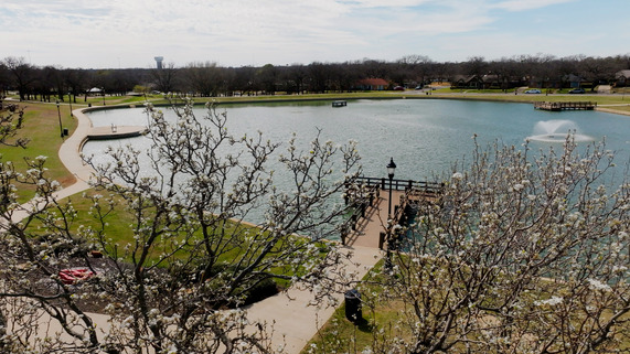 Drone shot of Boys Ranch Lake looking through blossoming trees