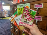 Hand holding packets of seeds at the Library