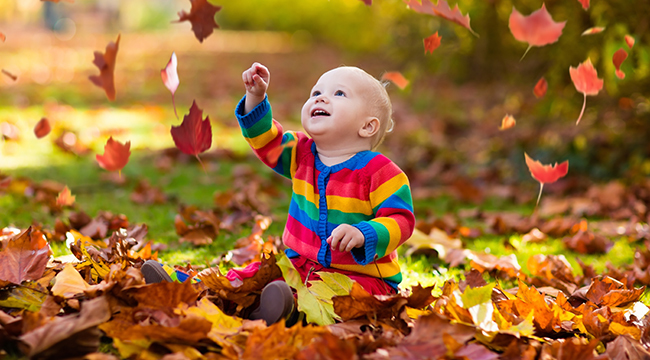 Photo of a baby in fall leaves