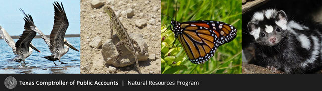 Natural Resources Banner