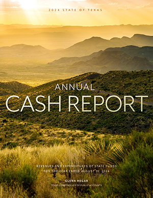 Annual Cash Report Cover - 2024
