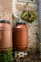 rainbarrel