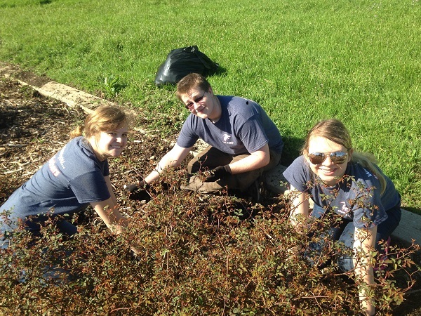 Click here for It's My Park Day