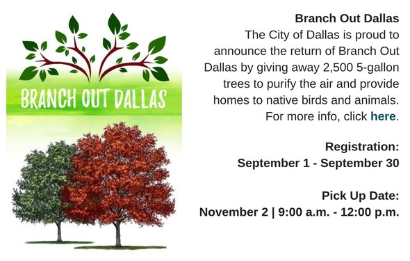 Branch Out Dallas