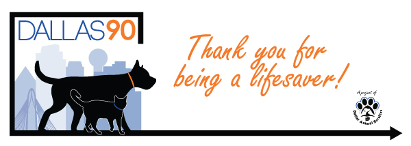 Adoption Survey Header