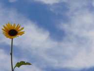 Outdoor Adventure Photo