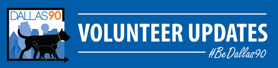 Volunteer header revised