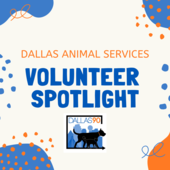 Volunteer Spotlight