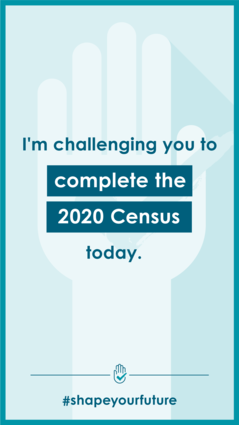 Census Portrait