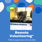 Remote Volunteering