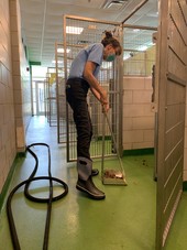 Kennel Care