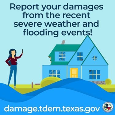 damage report survey