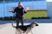 DAS dog goes to Canada!