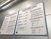 Adoption Fees