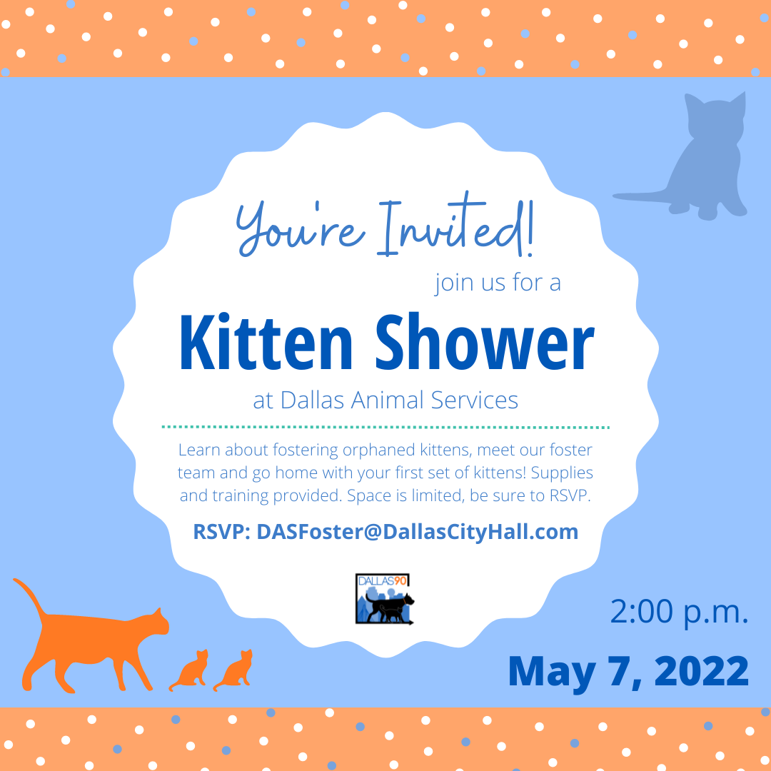 kittenshower