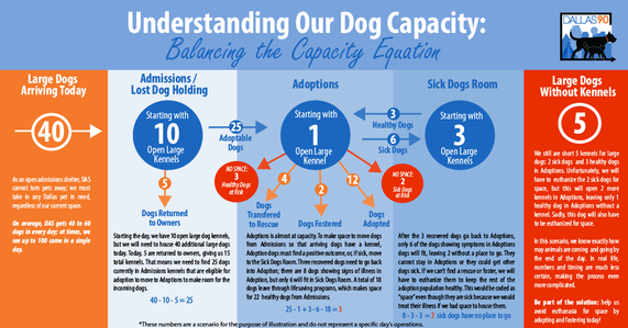 dog capacity 4